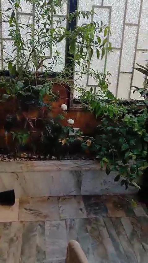 Gardenia Cairo